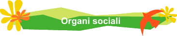 Organi sociali