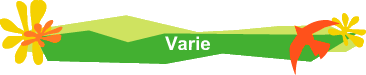 Varie