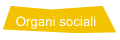 Organi sociali